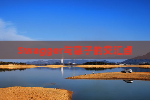 Swagger与惠子的交汇点